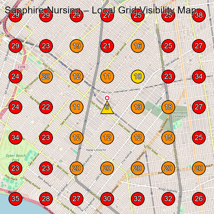 Sapphire Nursing GeoGrid visibility map for Home Health Care Service in Brooklyn